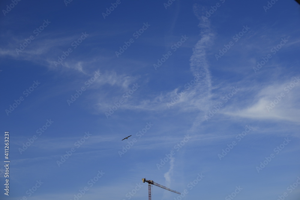 crane and sky