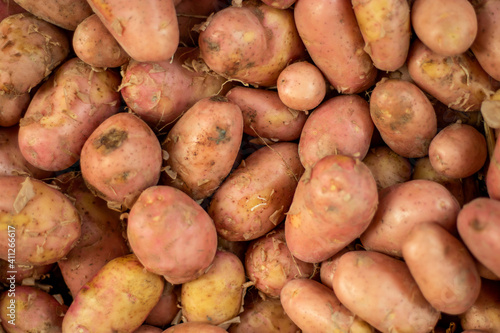 Group of brown and red fresh potatoes top view
