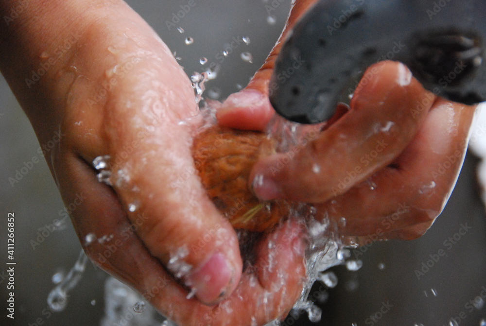 Fototapeta premium hands cleaning nuts within a water fountain