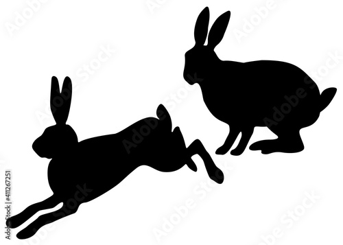 Hares in the set. The hare sits and the hare jumps.