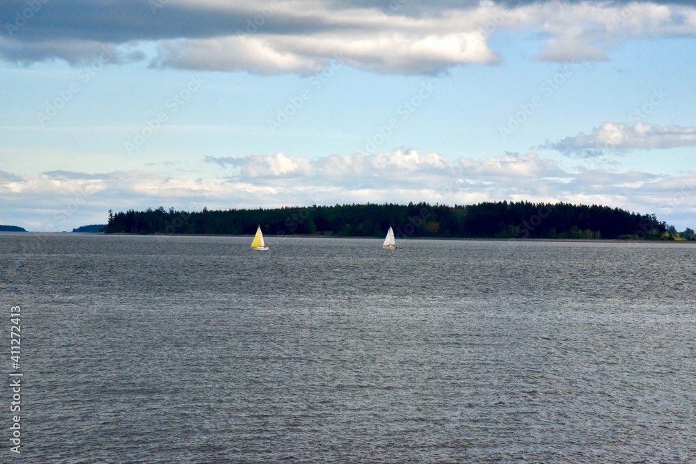 sail boats on the horizon