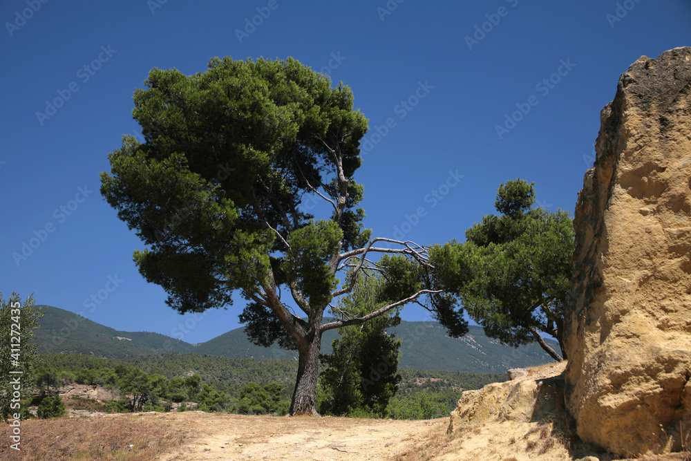 Countryside near Cucuron, Vaucluse, Provence-Alpes-Côte d'Azur, France Countryside near Cucuron, Vaucluse, Provence-Alpes-Côte d'Azur, France