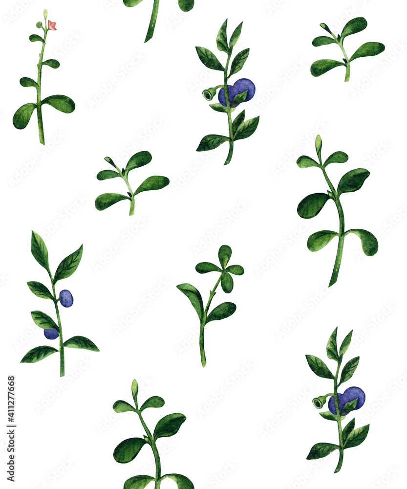 Watercolor pattern with blueberry Watercolor pattern with blueberry