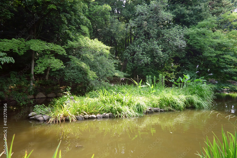 Obraz premium 鬱蒼と茂る都市郊外の整備された森林公園