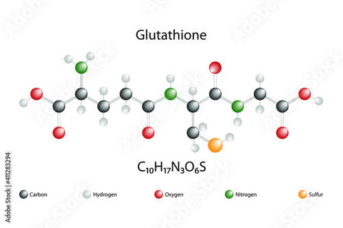Molecular structure and chemical formula of glutathione photo