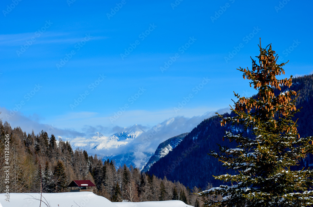 Winter aura in the Alps, beautiful view, mountains, trees in snow, Mont Blanc du Tacul, Chamonix, France
