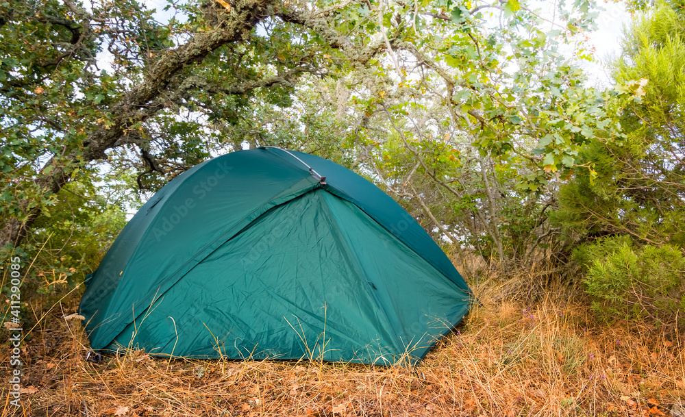 closeup green touristic tent in the forest, travel camp background