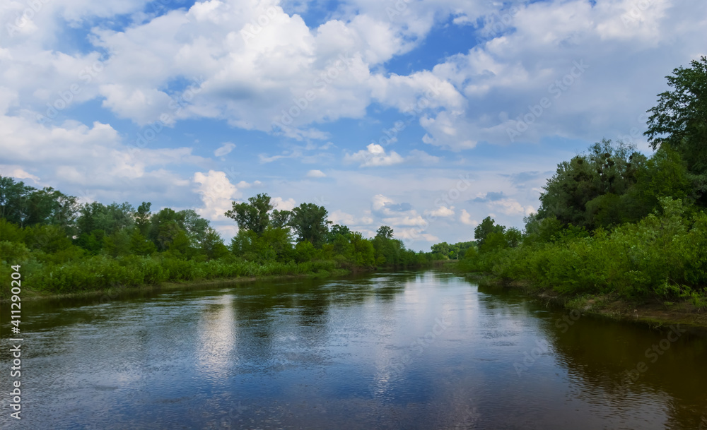 quiet summer river with forest on a coast under a cloudy sky, summer countryside natural background