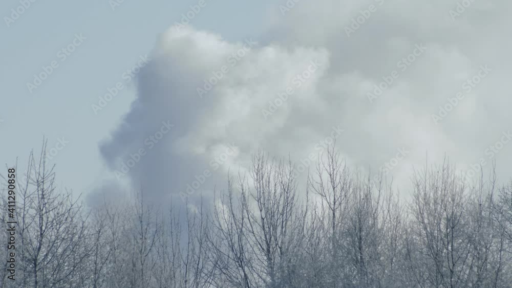 Behind the snowy trees there is smoke. Slow motion. Very cold weather Behind the snowy trees there is smoke. Slow motion. Very cold weather