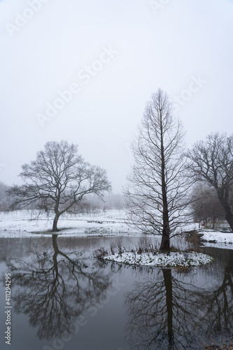 Leafless trees reflecting on a calm lake surrounded by snow on a misty morning.