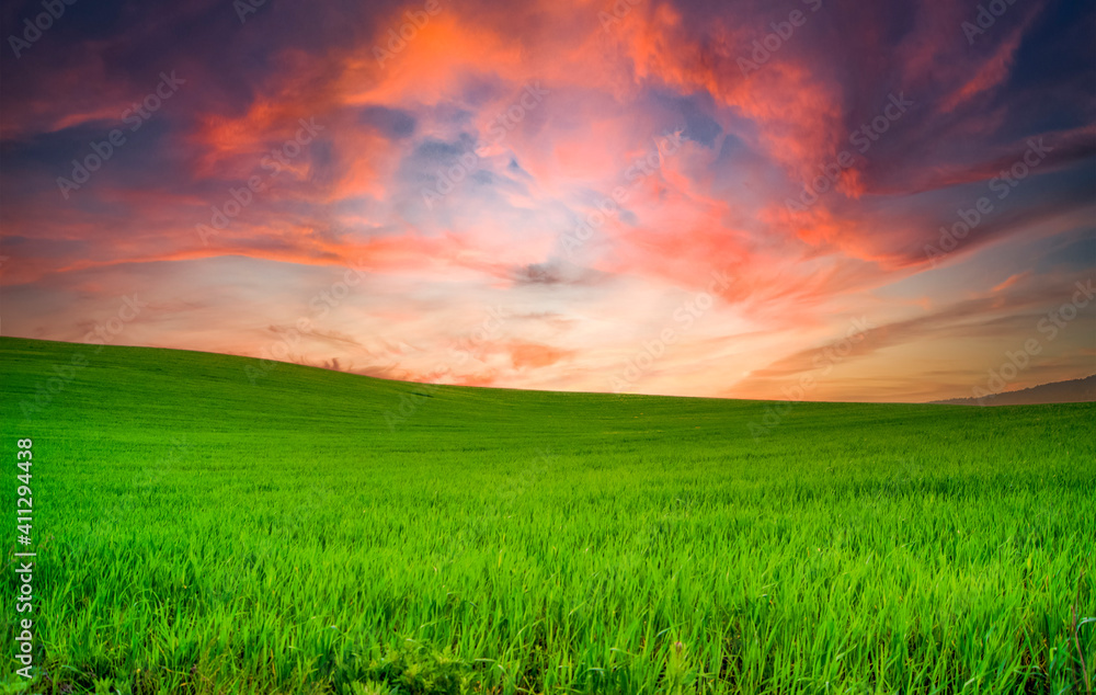  nice sunset on a green field