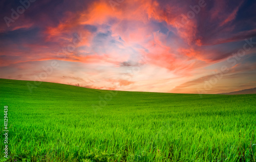  nice sunset on a green field