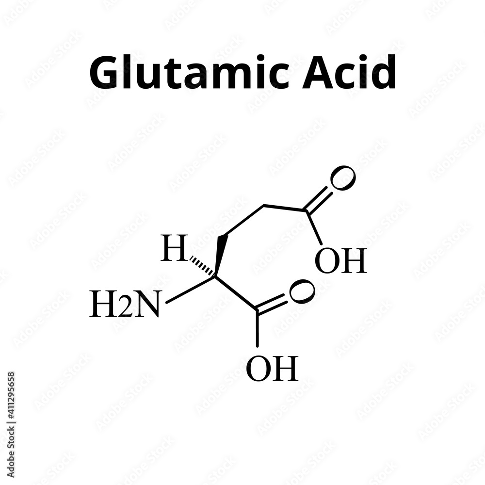 Glutamic acid is an amino acid. Chemical molecular formula glutamic acid amino acid. Vector illustration on isolated background