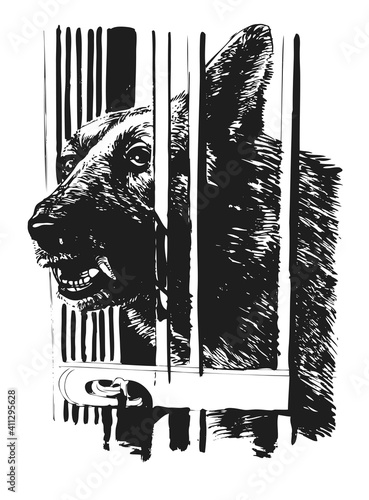 Wolf or Dog in Cage Drawing Sketch. 