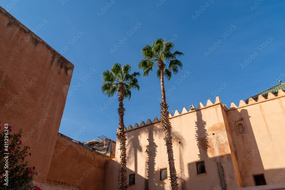 Two Very Tall Palm Trees under Blue Sky, Marrakesh, Morocco.