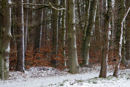 winter in Dannenbüttel, Germany