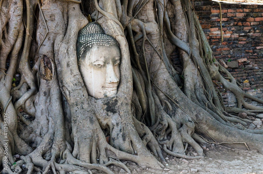 Overgrown stone Buddha face by tree roots at Wat Mahathat, Ayutthaya Historical Park, Thailand Overgrown stone Buddha face by tree roots at Wat Mahathat, Ayutthaya Historical Park, Thailand