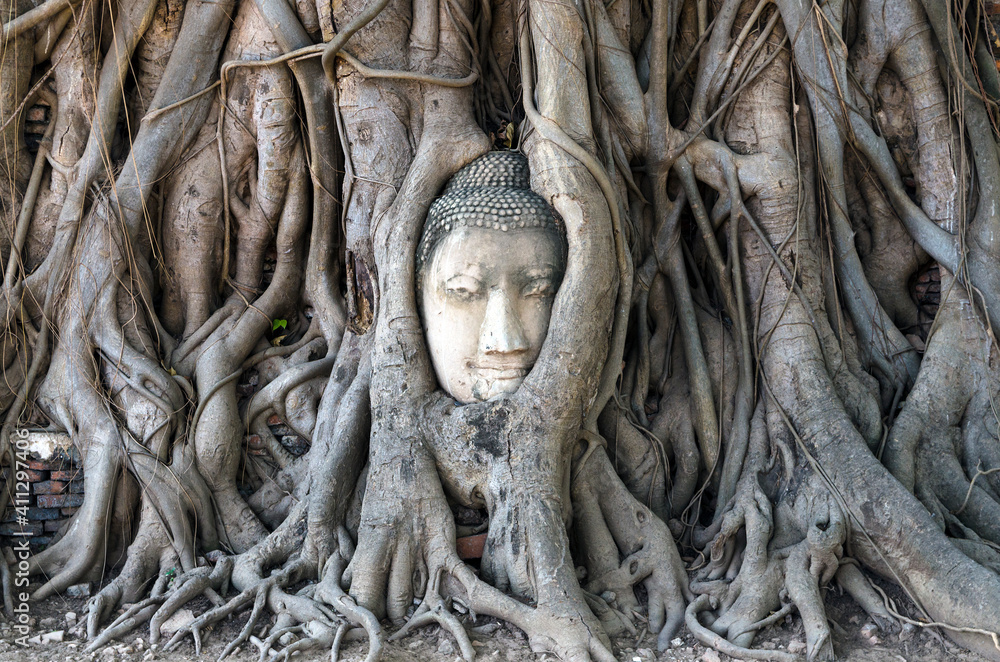 Overgrown stone Buddha face by tree roots at Wat Mahathat, Ayutthaya Historical Park, Thailand Overgrown stone Buddha face by tree roots at Wat Mahathat, Ayutthaya Historical Park, Thailand