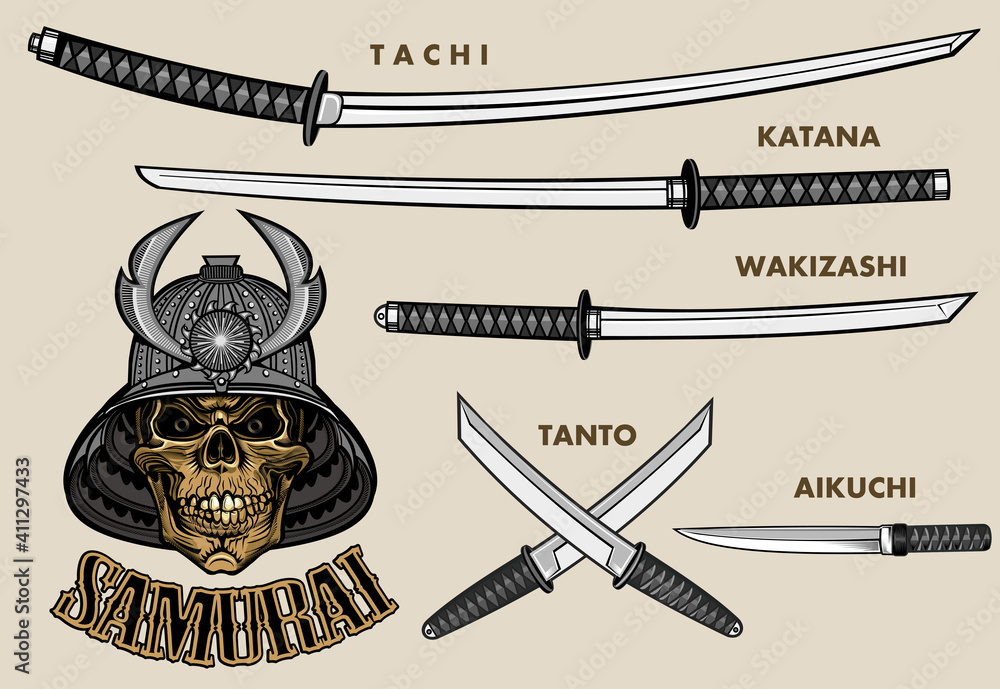 Set Japanese samurai sword – katana, tachi, tanto. Samurai skull born to be  Warrior Stock Vector | Adobe Stock