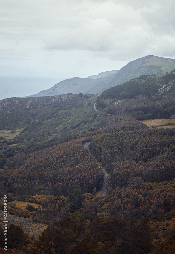 Fototapeta premium Widok na klif