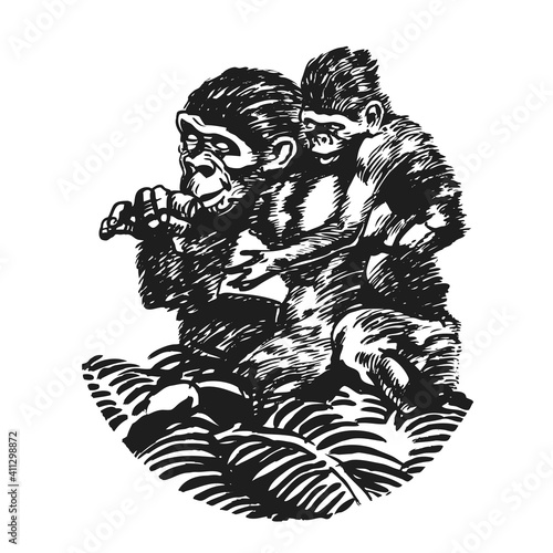 Monkey with baby Primat in Jungle Foliage. Animal Wildlife Vector	