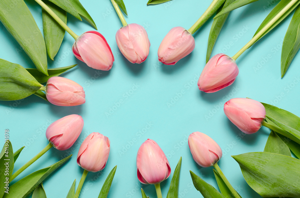Spring Flowers composition. Tulip flowers on pastel blue background. Valentines day, mothers day, womens day concept. Top view, flat lay, copy space. Spring Flowers composition. Tulip flowers on pastel blue background. Valentines day, mothers day, womens day concept. Top view, flat lay, copy space.