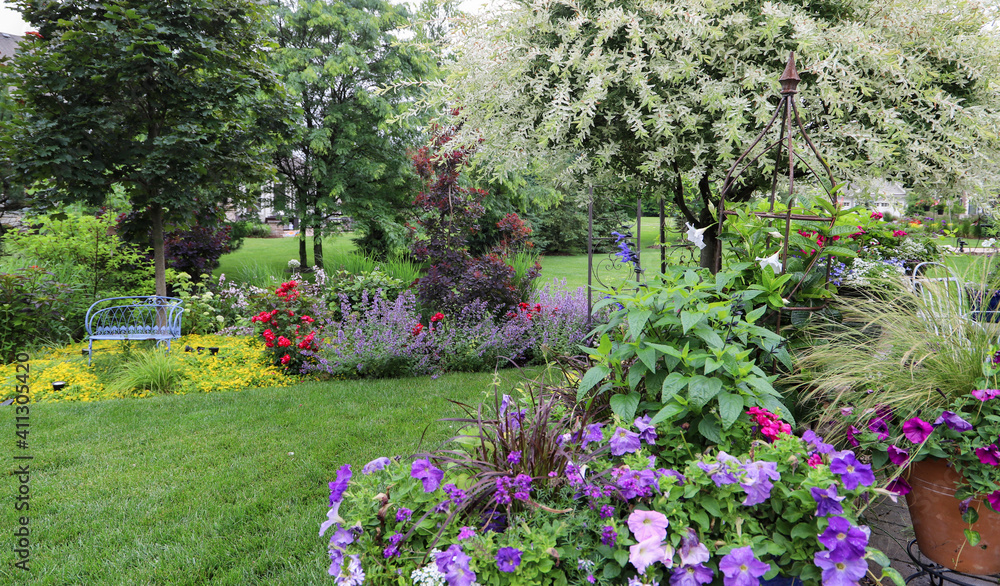 Beautiful garden bursting with reds roses, whites hydrangeas, red hibiscus and a variegated Japanese willow as the focal point.