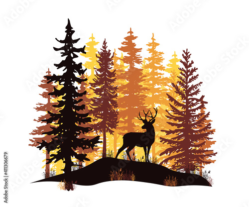 Orange and yellow sunset in coniferous forest. Deer with antlers posing on the hill covered with grass. 