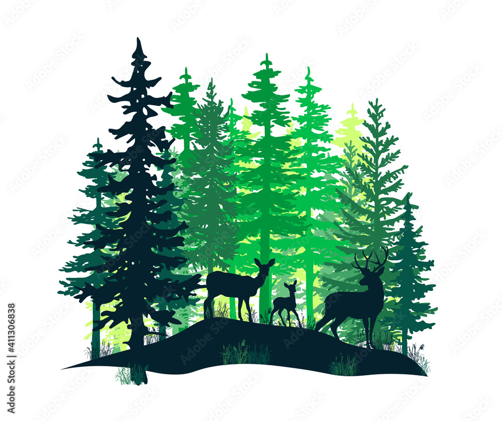 Obraz premium Deer with antlers, doe, fawn posing in magic misty forest. Silhouettes illustration. Coniferous trees.