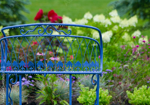 Fotografie Vintage decorative blue bench after a summer rainstorm with limelight hydrangeas