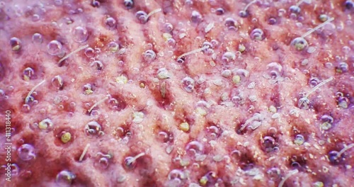 A full of blemishes, dirt and sebum face, after a cleansing process, skin becomes clear after cleansing.