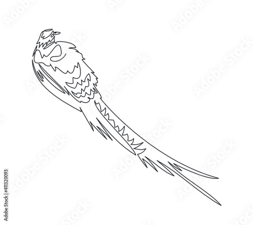 pheasant one line vector illustration