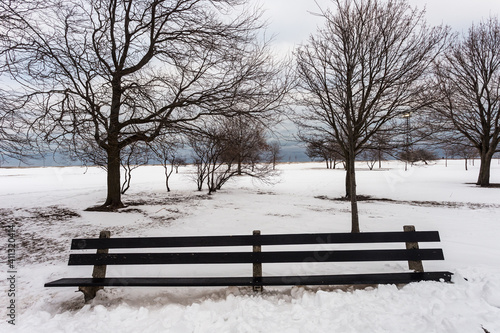 Snow covered park bench in front of barren trees on cold winter day with overcast sky in urban Chicago