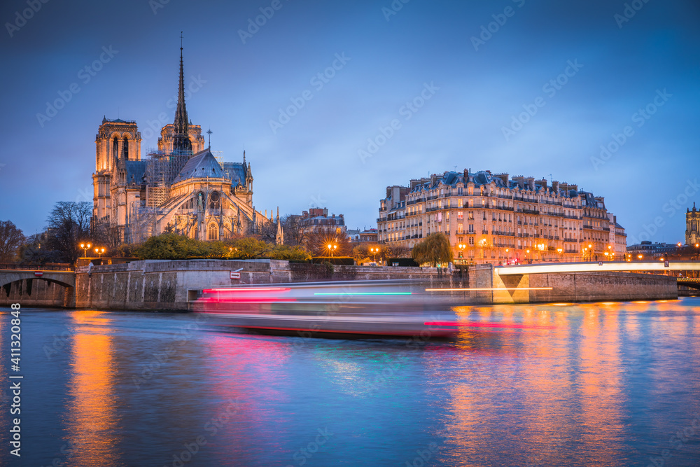 Fototapeta premium Notre Dame Cathedral in Paris at night