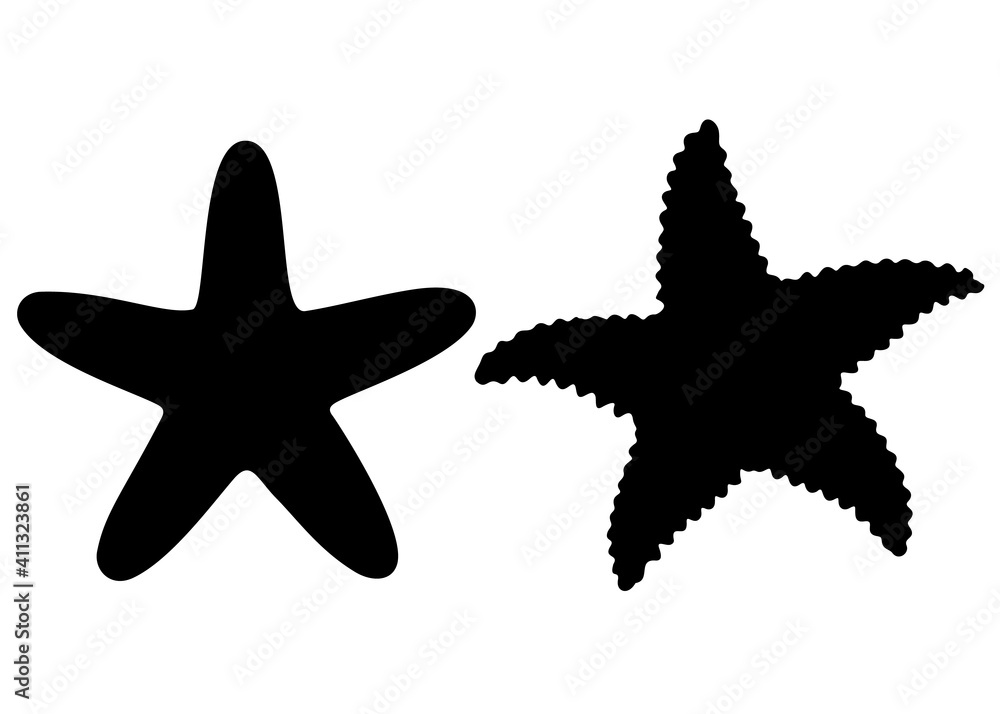 Starfish in the set. Starfish in the set.