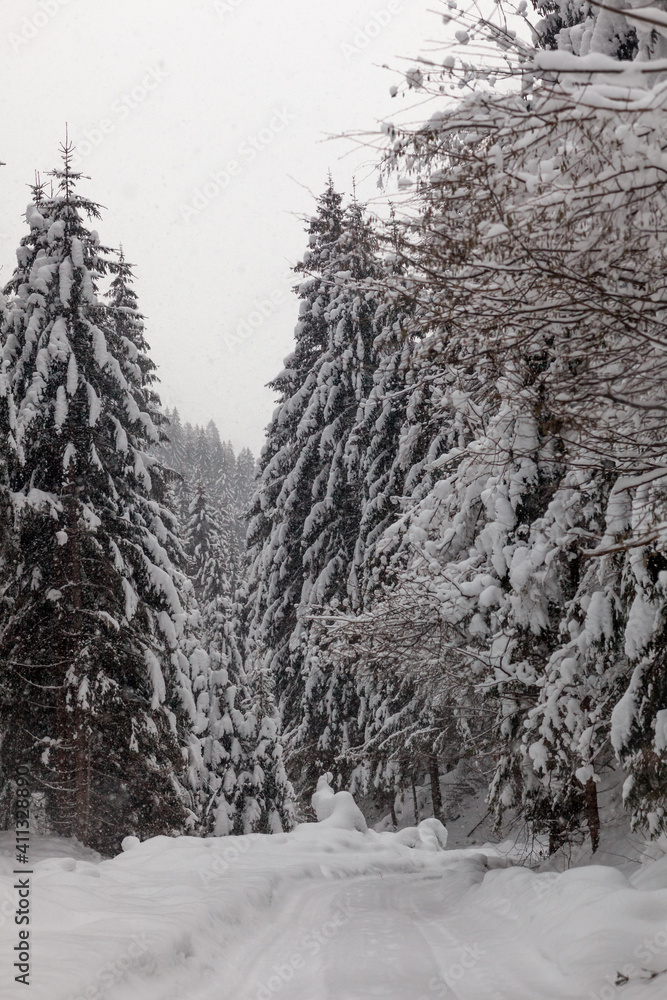 A Mountain Road Covered by Snow A Mountain Road Covered by Snow