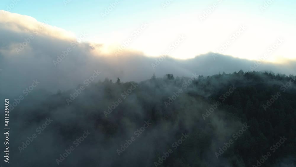 Aerial shot flying forward over a forest covered in low fog and clouds. Dark and quiet, peaceful. Bright sky and sun above the clouds. Aerial shot flying forward over a forest covered in low fog and clouds. Dark and quiet, peaceful. Bright sky and sun above the clouds.