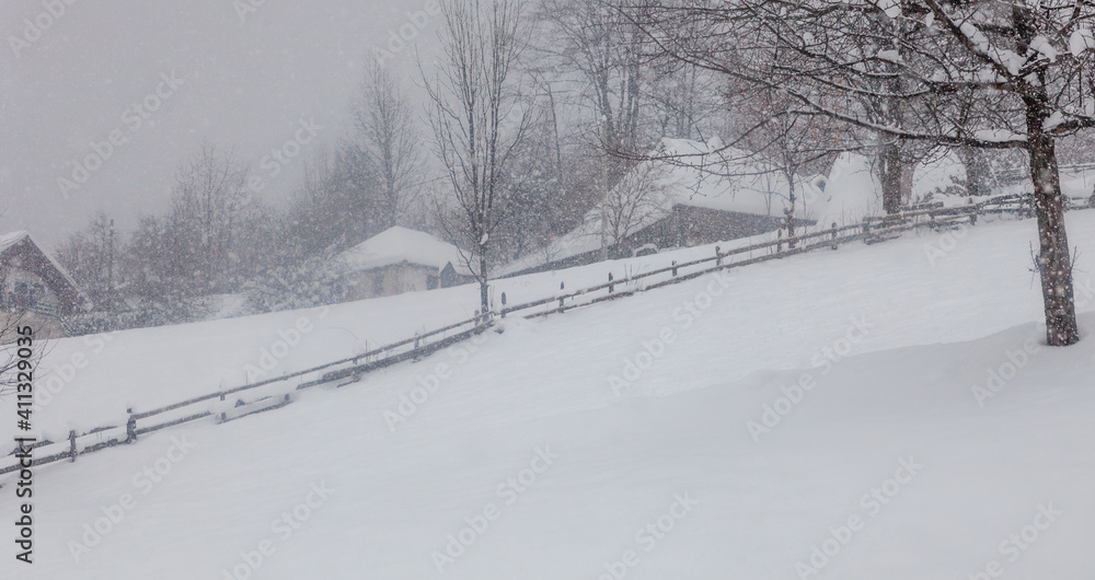 Fototapeta premium winter in the vilage