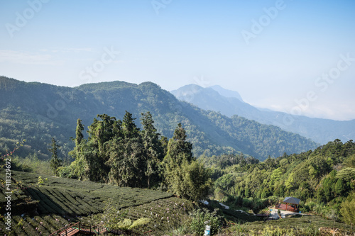 Alishan Mountains in the central-southern region of Taiwan
