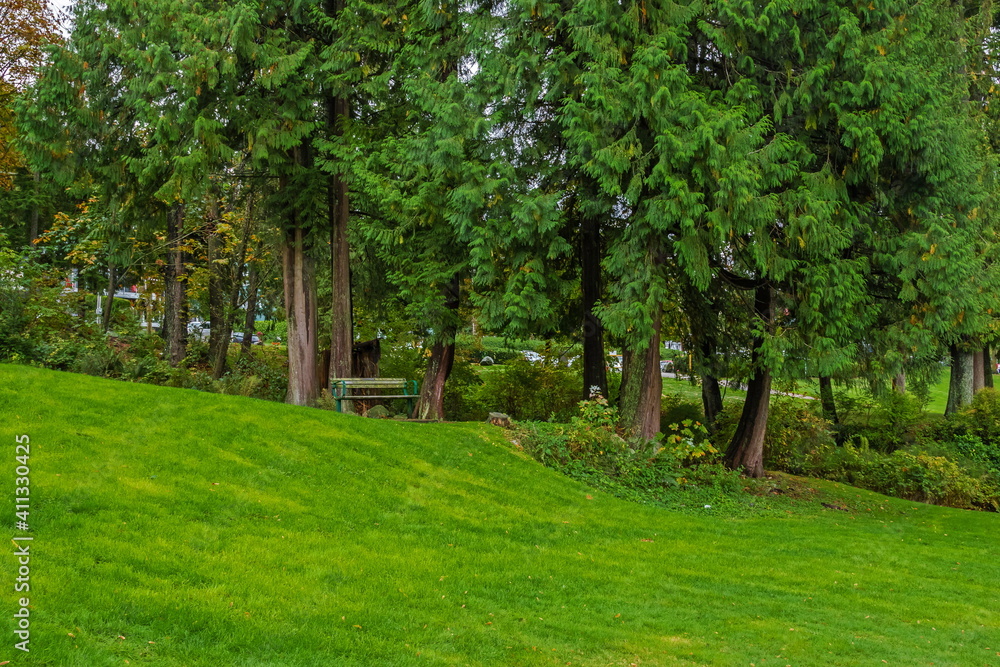Resting place at Panorama Park in Deep Cove North Vancouver City. A bench is located under a canopy of coniferous trees on a slope of a green lawn, British Columbia, Canada Resting place at Panorama Park in Deep Cove North Vancouver City. A bench is located under a canopy of coniferous trees on a slope of a green lawn, British Columbia, Canada