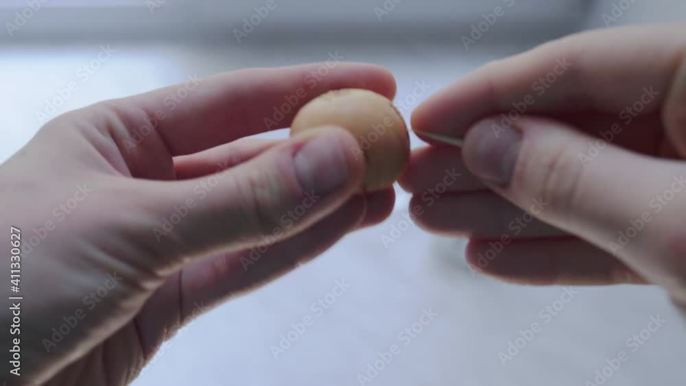 Preparing the avocado seed for planting with toothpicks.
Preparing the avocado seed for planting with toothpicks.
