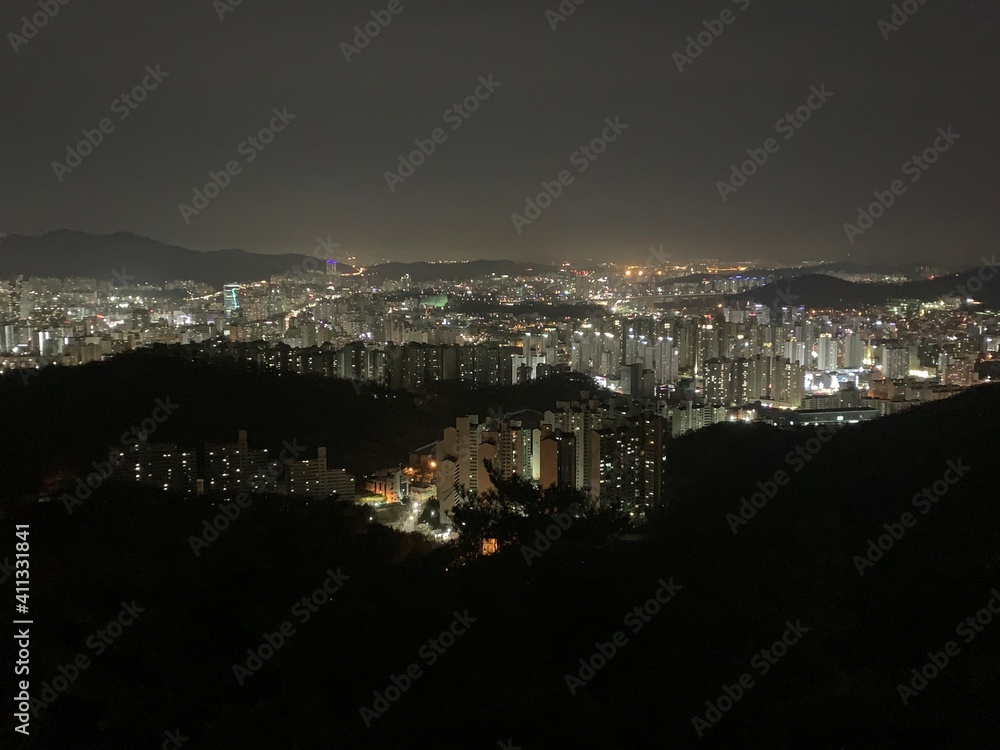 Obraz premium night city view