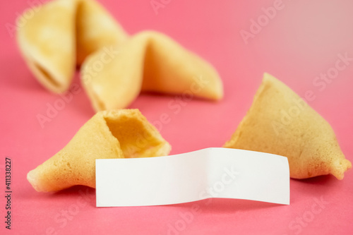 Fortune Cookie on a crimson background. Close-up of foreboding broken cookies with white piece of paper with copy space on a dark pink background