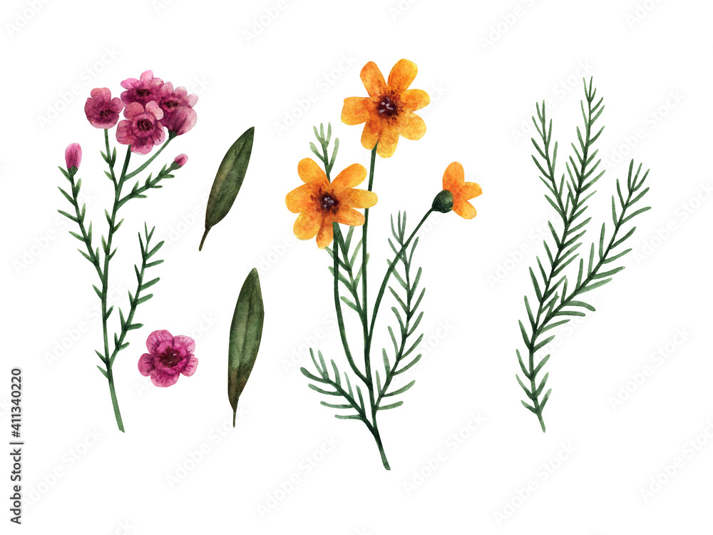 Botanical forest clipart in watercolor