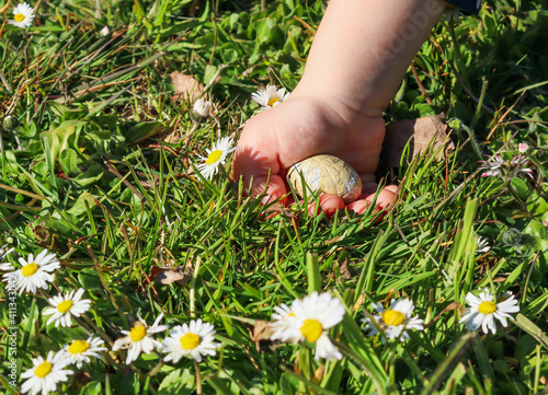 Children's hand with an Easter egg. Child's hand pulls out an Easter egg from the grass with daisies with space for text on the left, close-up side view.