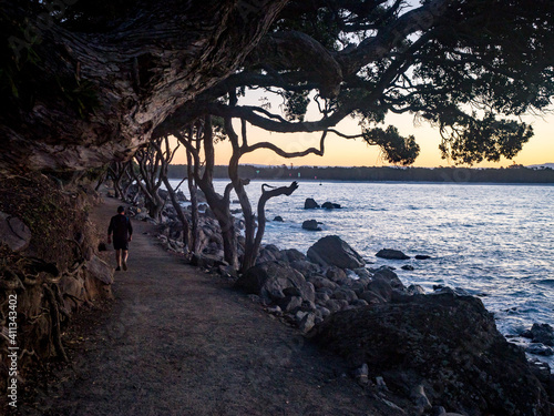 The view of Tauranga and mount manganui from Mauoa.