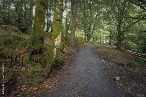 Summer nature landscape with path in forest. Sunlight in autumn park. The path to Blacklinn Falls, Callander, Scotland