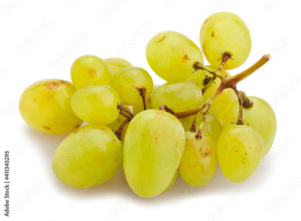 white grape path isolated on white white grape path isolated on white