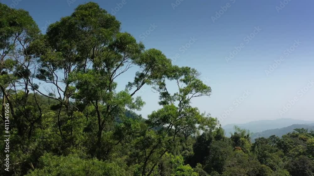 sunny day taipei city famous mountain park greens aerial panorama 4k taiwan sunny day taipei city famous mountain park greens aerial panorama 4k taiwan