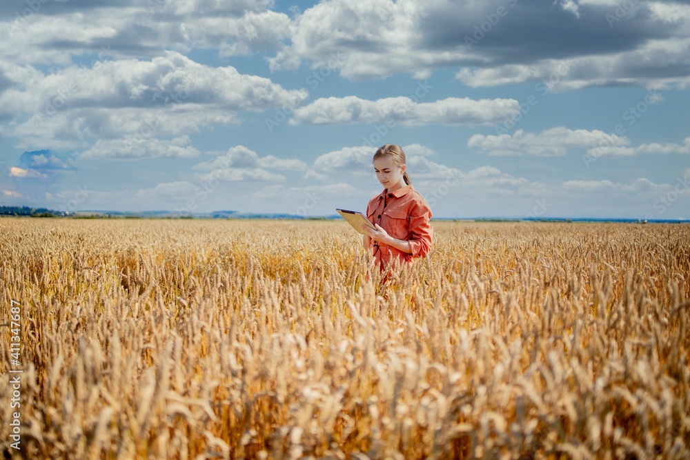 Woman caucasian technologist agronomist with tablet computer in the field of wheat checking quality and growth of crops for agriculture. Agriculture and harvesting concept Woman caucasian technologist agronomist with tablet computer in the field of wheat checking quality and growth of crops for agriculture. Agriculture and harvesting concept
